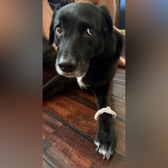 Extra Shipping Label - Picture 2 of 2